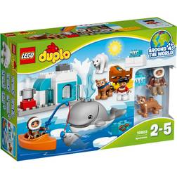 LEGO Duplo Wildlife Arctic 10803