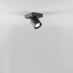 LIGHT-POINT Focus Mini 3000K Sort Spotlight