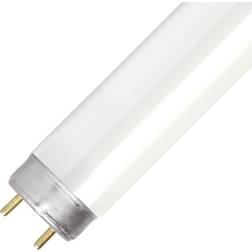 Sylvania 0002218 Fluorescent Lamp 18W G13