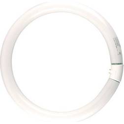 Sylvania 0000456 Fluorescent Lamp 22W G10q