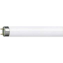 Philips Master TL-D Super 80 Fluorescent Lamp 36W G13 827