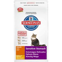 Royal Canin Cat Regular Fit 32
