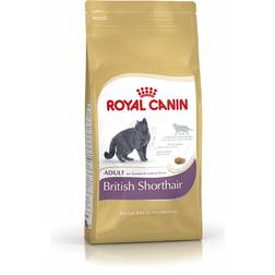 Royal Canin British Shorthair Adult