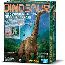 4M Brachiosaurus-Skelet