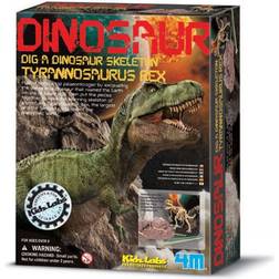 4M Tyrannosaurus Rex Skelet