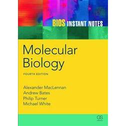 BIOS Instant Notes in Molecular Biology (Häftad, 2012)