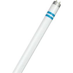 Philips Master TL-D Secura Fluorescent Lamp 58W G13 830