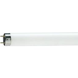 Philips Master TL-D 90 De Luxe Fluorescent Lamp 58W G13 950