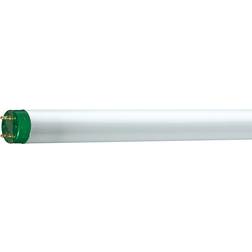 Philips MASTER TL D ECO 51W 830 Luce Calda 150cm