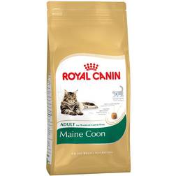 Royal Canin Maine Coon Adult