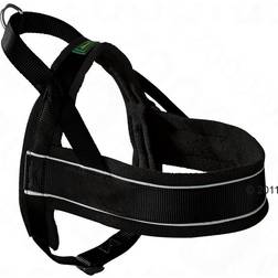 Hunter Racing Harness