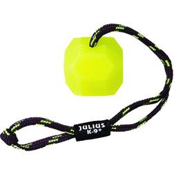 Julius-K9 Julius K9 IDC Fluorescent Ball