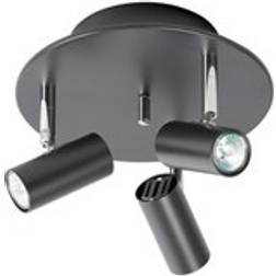 Belid S 6004 Cato 3 Spotlight