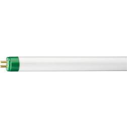 Philips Master TL5 HO Eco Fluorescent Lamp 24W G5 830