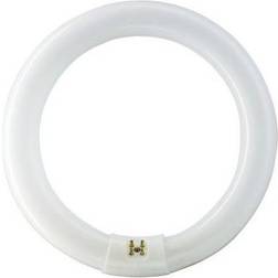 Philips MASTER TL-E Circular, Circular, C-T9, G10Q, Bianco, A, Illuminazione fredda