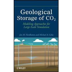 Geological Storage of Co2: Modeling Approaches for Large-Scale Simulation (Indbundet, 2011)