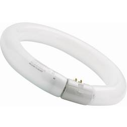Sylvania 0001966 Fluorescent Lamp 40W G10q