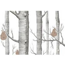 Cole & Son Woods Pears Wallpaper Contemporary Collection White 95/5027 Roll