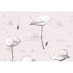 Cole & Son Flamingos Wallpaper Contemporary Restyled 95/8046 Roll