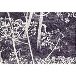 Cole & Son Cow Parsley Designtapete von and Mokka noir