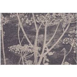 Cole & Son Cow Parsley Designtapete von and Schwarz brun