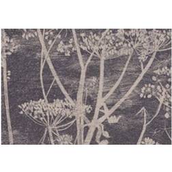 Cole & Son Cow Parsley Print Wallpaper Beige Black 66/7048 Roll