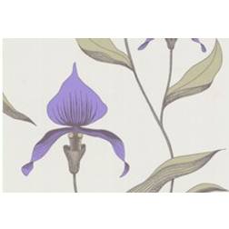 Cole & Son Orchid Designtapete von and Grün/ Lila bianco/viola/viola