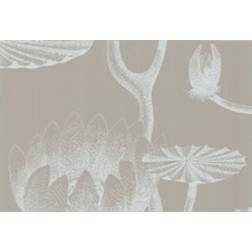 Cole & Son Lily Designtapete von and Kieselgrau/ Weiß gris