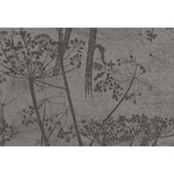 Cole & Son Cow Parsley Designtapete von Gilver on Black grigio