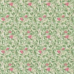 Morris & Co Arbutus (214720)