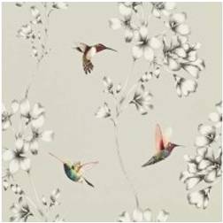 Harlequin Kolibri Tapete Amazilia von Silver argent