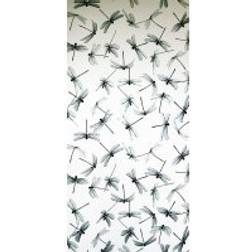 Mimou Dragonfly (wp2169)