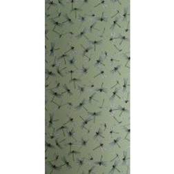 Mimou Dragonfly (wp2168)