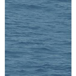 Carma The Yacht Club (YC61712)