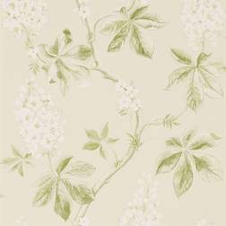 Sanderson Chestnut Tree (215707)