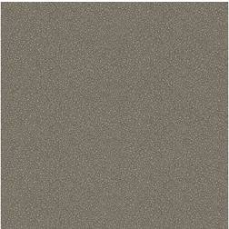 Cole & Son Goldstone Wallpaper- Curio Collection Black Silver 107-9043 Roll