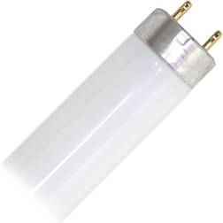 Sylvania 0001500 Fluorescent Lamp 18W G13