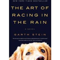 The Art of Racing in the Rain (Geheftet, 2009)