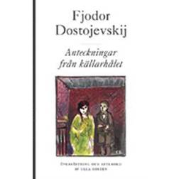 Anteckningar från källarhålet (Häftad, 2011)