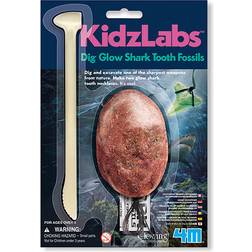 4M Dig Glow Shark Tooth Fossils