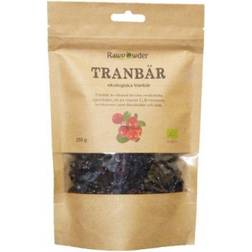 Rawpowder Tranbär