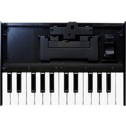 Roland Boutique K-25m