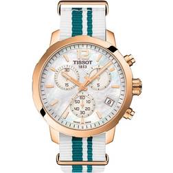 Tissot Quickster (T095.417.37.117.01)