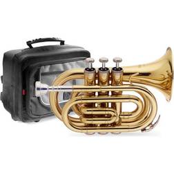 Stagg WS-TR245S