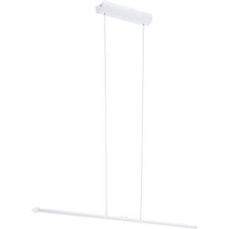 Eglo Pellaro 93898 Pendel