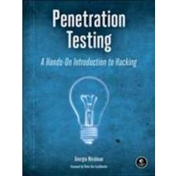 Penetration Testing: A Hands-On Introduction to Hacking (Häftad, 2014)