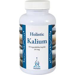 Holistic Kalium 100 st