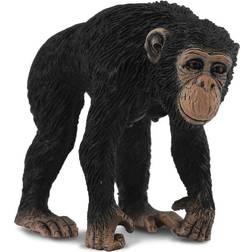 Collecta Vilda Djur Afrika Schimpans 88493