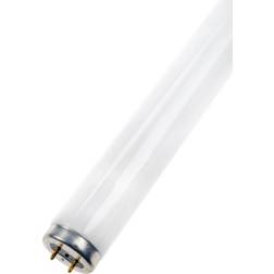 Sylvania 0000879 Fluorescent Lamp 25W G13