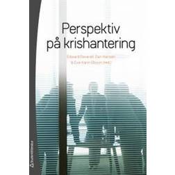 Perspektiv på krishantering (Häftad)